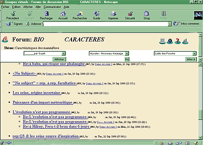 Figure 1 - the Virtual-U conferencing system screen shot